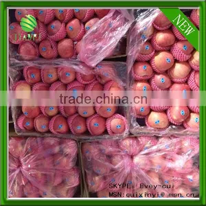 Export Qinguan Apple Company thumbnail-1
