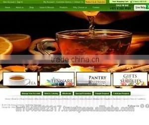 Web Design and Development UK thumbnail-5