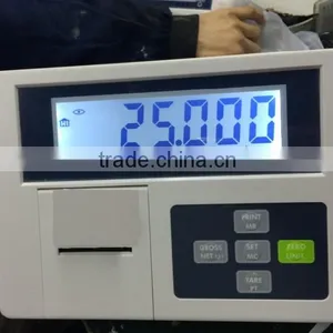 9901DP Weighing Indicator With EPSON Printer thumbnail-6