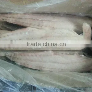 2016 High Quality of New Coming Frozen Mihi Mhi Fillet for Sale thumbnail-1