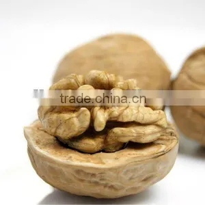 Fresh Walnut Origin of China Hot Selling thumbnail-1