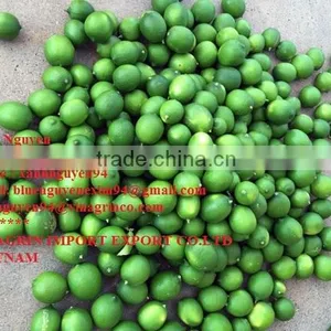 VIETNAM FRESH SEEDLESS LIME thumbnail-1