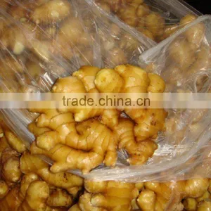 Air Dried Fresh Ginger Hot Sale thumbnail-1