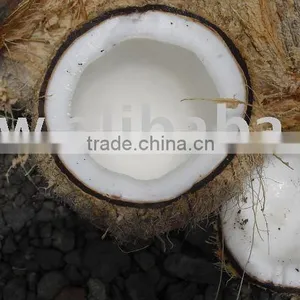 Fresh Coconut thumbnail-1
