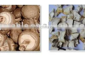 Dehydrated Shiitake Granules thumbnail-1