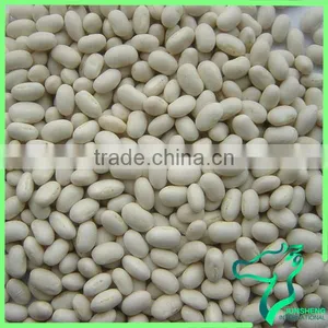 All Size Supply Japanese White Kidney Beans For Sale Wholesale Price thumbnail-6