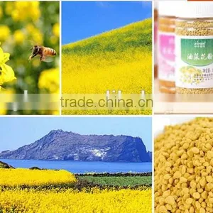 Natural Bee Pollen Powder for Feeding Bees thumbnail-1