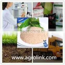 China Natural Source Humic Amino Acid for High Grade thumbnail-3