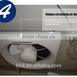 Hot Selling CE Marked HHD Brand Automatic Egg Incubator Hatching Machine for Sale YZITE-17 thumbnail-6