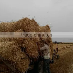 Tractor PTO Mini Round Baler for Sale thumbnail-6