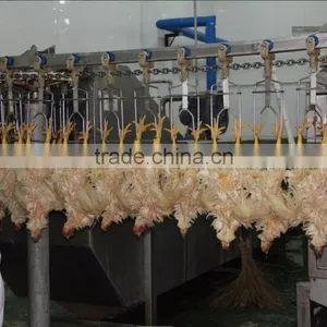 China Sell Good Quality Poultry Farm Used Chicken Slaughtering Equipment/broiler Slaughter Line 008618052092685 thumbnail-1