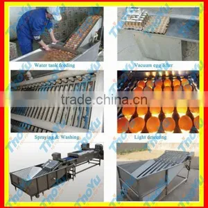 Planetary Egg Mixing Machine 8000pcs/h on Bakery Exhibition +86-133-3371-9169 thumbnail-1