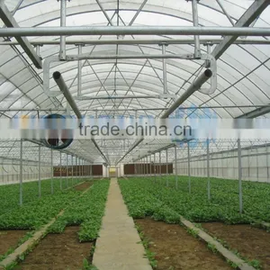 Plastic Film Greenhouse thumbnail-2