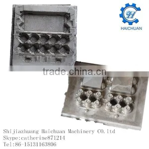 Eco Molded Pulp Factory thumbnail-1
