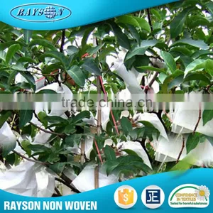 New Product Landscaping Agricultural Pp Spunbond Non Woven Fabric thumbnail-1
