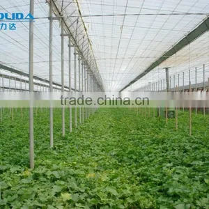Easily Assembled Polycarbonate PC Sheet Greenhouse For Agriculture thumbnail-4