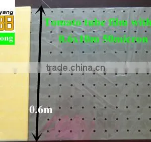 Green Color PE Agricultural Plastic Perforated Film With UV for Protective Tomato Tree thumbnail-3