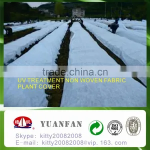 UV Treated PP Spunbond Non Woven Fabric for Plant Cover / Ground Cover / Tree Cover / Tomato Cover thumbnail-5