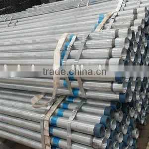 Animals Fencing Pre Galvanzied Pipes thumbnail-1