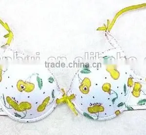 Cherry Bra/ Fashion Spandex Bra Sexy Bra Underwear Made in China thumbnail-4