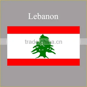 Wholesale Custom Arab Flag Design T-shirt Summer 2016 Fancy Lebanon Flag Boys Arab t Shirt thumbnail-2