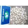 Garlic in Carton thumbnail-1