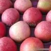 Sell Apple thumbnail-1