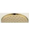 Shower Head thumbnail-1