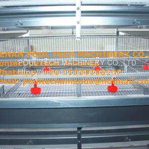 Colombia Chicken Shed With Poultry Cage for Chicken Feed for Brooding Chicks in Poultry Farming With Chicks Cage thumbnail-2