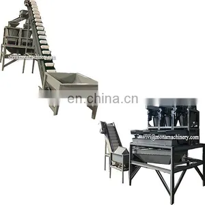 Commercial Pecan Nut Cracking Shelling Hulling Sheller Huller Black Walnut Cracker Machine thumbnail-5