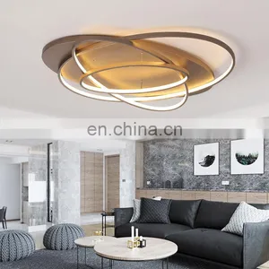 Creative Aluminum New Living Room Ceiling Lamp LED Energy Saving Bedroom Lamp thumbnail-6