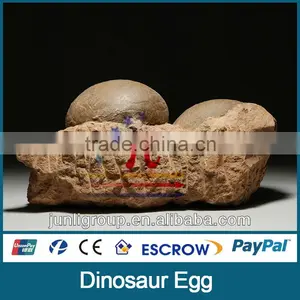 JLDE-0226 Growing Dinosaur Eggs Fossil for Sale thumbnail-1