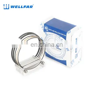 2M5014 Wellfar Pass 201 3.3L Engine Piston Rings 93mm For Chrysler Engine Parts thumbnail-2