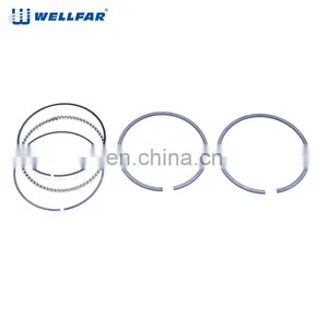 New Arrival Wholesale High Quality Engine Spare Parts 75mm Piston Rings For PEUGEOT 206 1.4 8V F/ ELEMENTO thumbnail-2
