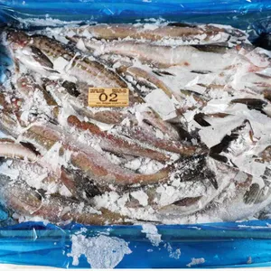 Gadus Chalcogrammus Frozen Alaska Pollock，pollock Fish, Pollock 100-300,300-500g thumbnail-3