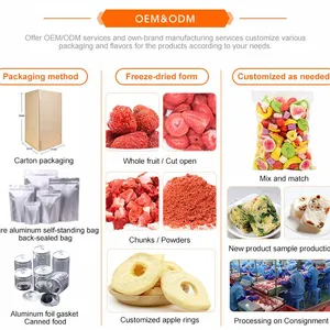 High Quality Comprehensive Fruit and Vegetable Mixed Vegetable Fruit Additive Free Daily Consumption Healthy Snacks thumbnail-4