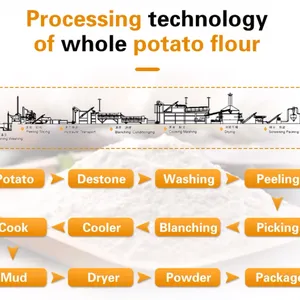 Potato Flake Powder Production Line thumbnail-3