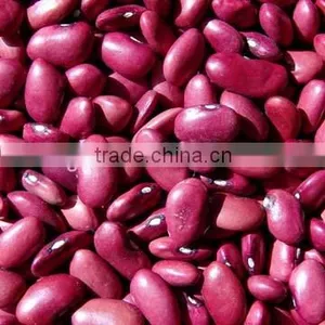 Red Kidney Beans thumbnail-1