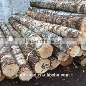 Baltic/Russian Birch Logs thumbnail-2