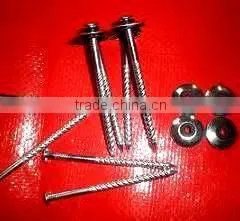 Lesotho Market Twisted Nails thumbnail-2