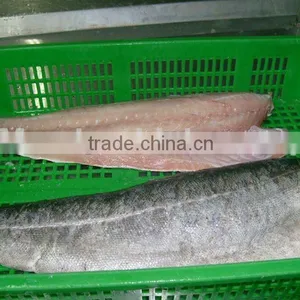 Frozen Light Salted Saithe Fillet thumbnail-1