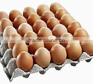 Food Banana Carton Box Egg Tray Making Machine /Paper Egg Tray Machine / Egg Tray Forming Machine thumbnail-5