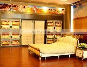 Camel King Woolen Product Co., Ltd. Alashan Left Banner company overview - view 3 thumbnail