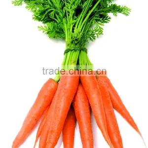 Fresh Mini Carrot Harvester for Sales thumbnail-1