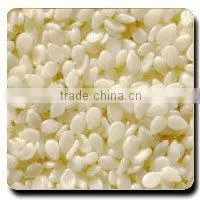 Sesame Seeds thumbnail-4