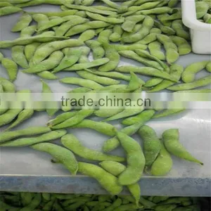 HACCP High Quality IQF Frozen Green Soy Beans thumbnail-1