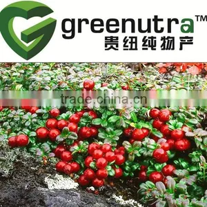 Lingonberry Extract thumbnail-1