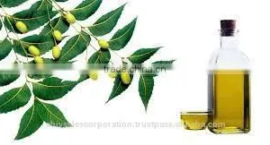 Natural Neem Oil for Organic Pesticide thumbnail-6