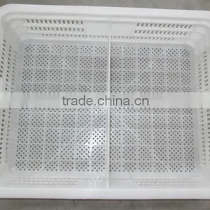 Plastic Turnover Box for Chickens thumbnail-4