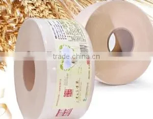 Big Roll of Toilet Paper thumbnail-3